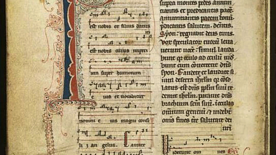 Codex Wirzenbornensis digital